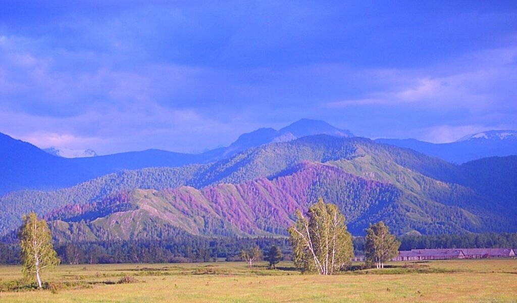 Уймонская долина горный алтай фото