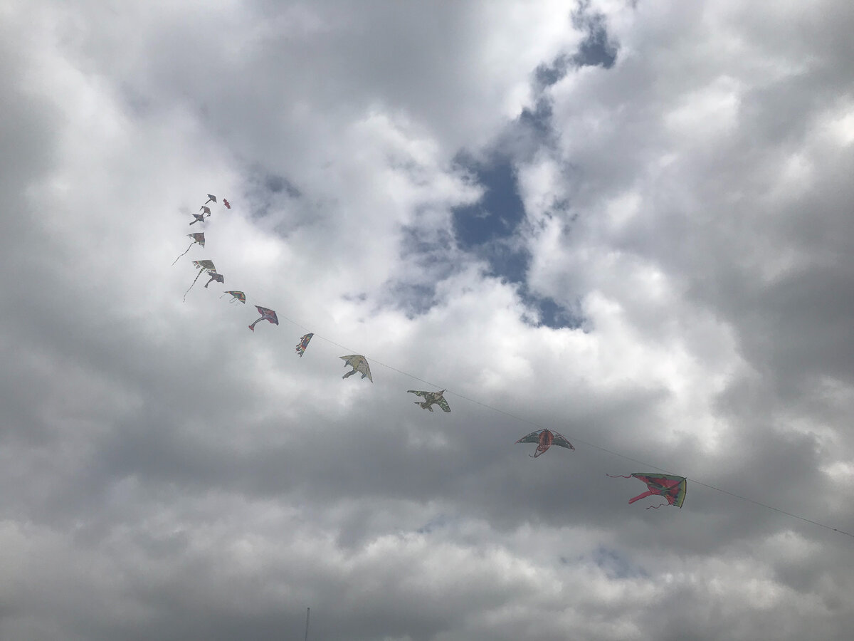 Воздушные змеи в небе, фото автора.
