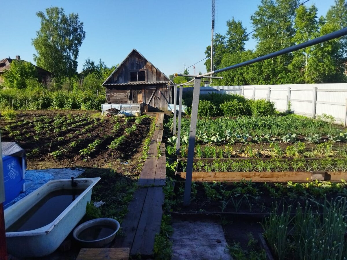 Продал дачу и купил дом в частном секторе. Теперь я почти деревенский,  показываю подробности | Дремучая Сибирь | Дзен