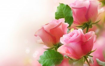 Картинки из интернета