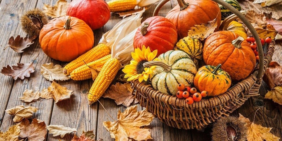 Лунный календарь огородника на Ноябрь 2020 года!