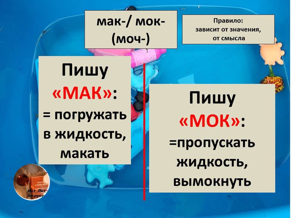 Правописание корней мак мок