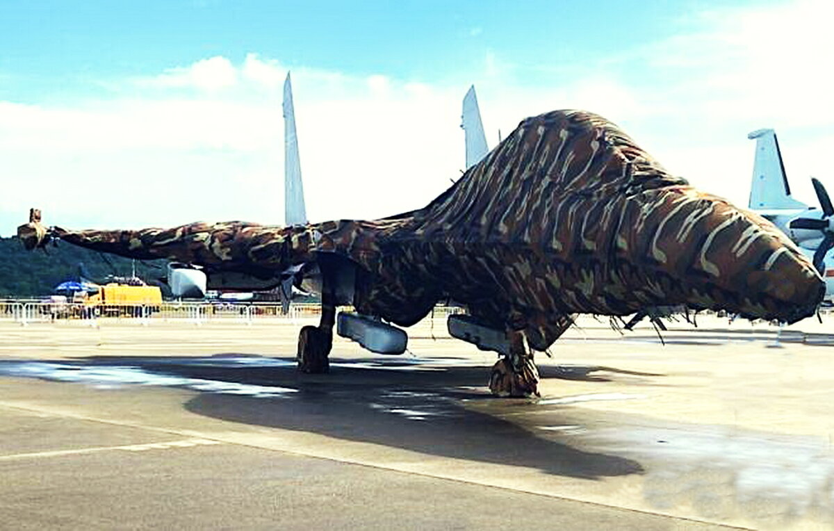 Самолет радиоэлектронной борьбы Shenyang J-16D. Фото Twitter.com