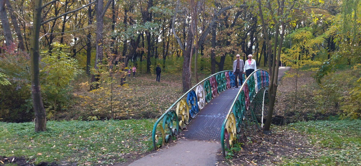 Мостик через речку "Большая черепаха"