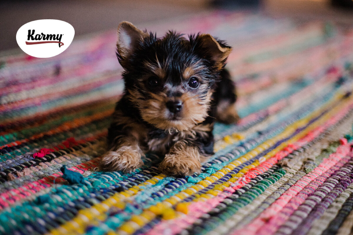 Авторское изображение с использованием картинки с фотостока "Unsplash"