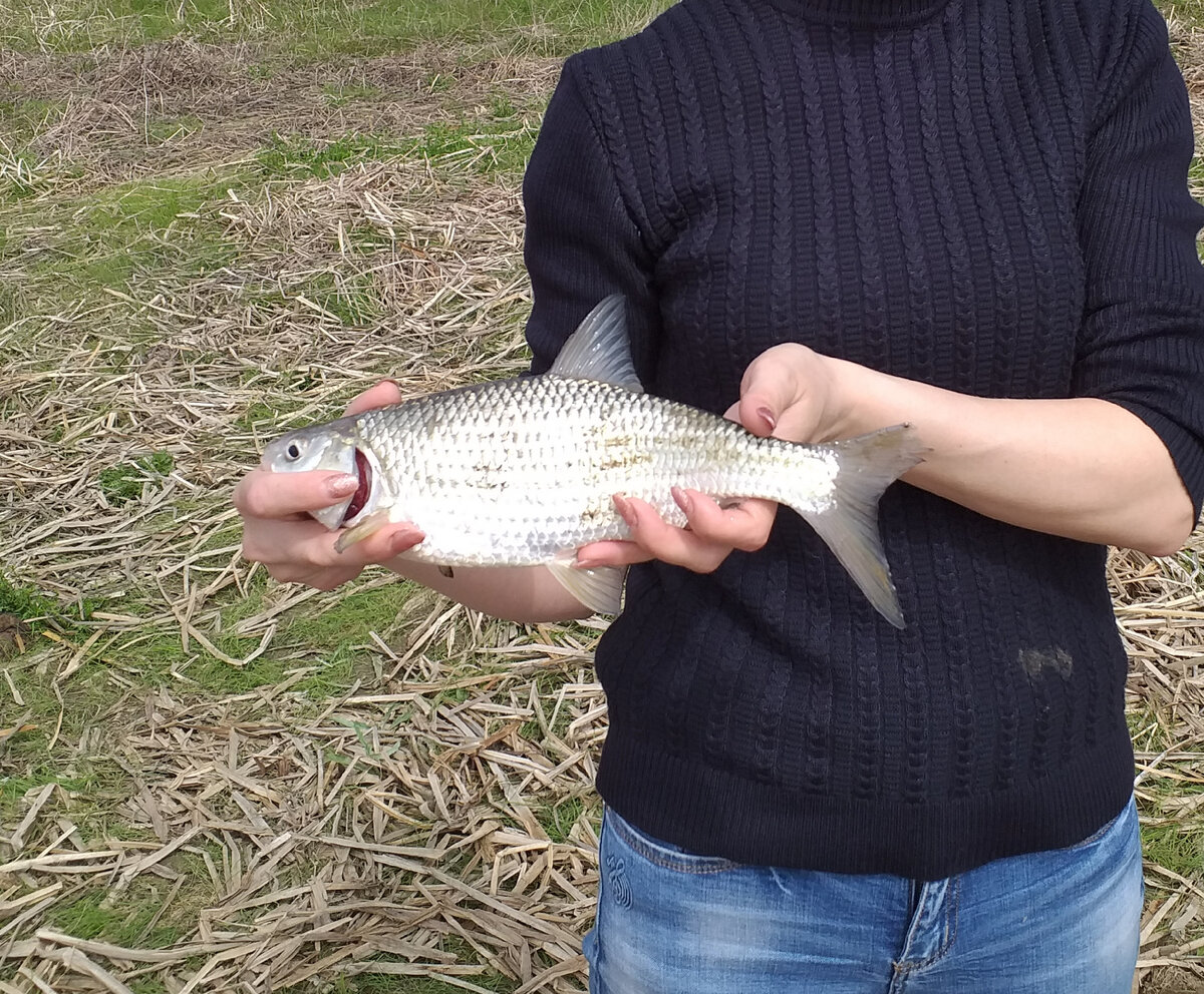 Экземпляр достойный