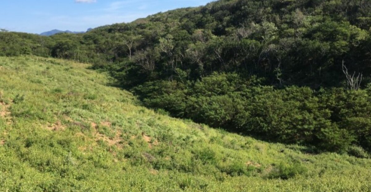 Изображение: источника. 