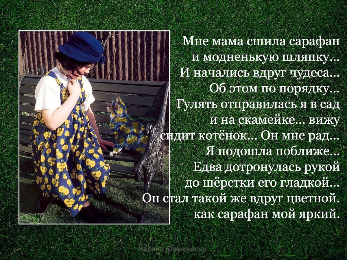 кошка и сарафан 