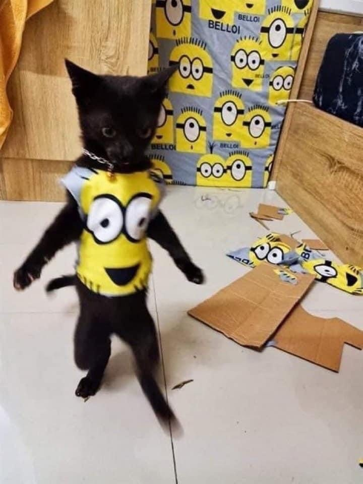 -2