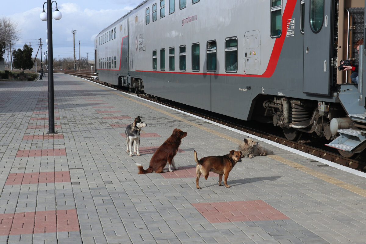 Смена направления на узловой станции Владиславовка, от которой начинается ответвление на Феодосию.