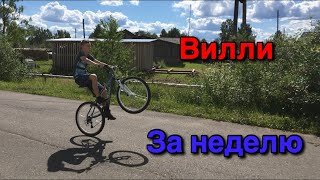 Учу Вилли за неделю.