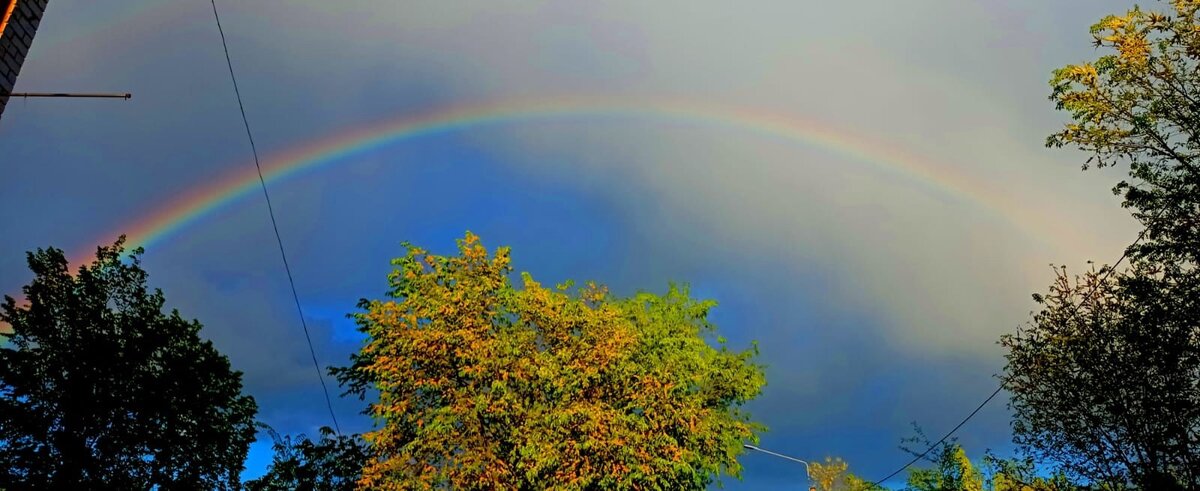 Эту радугу сняла моя внучка - тот еще блогер!