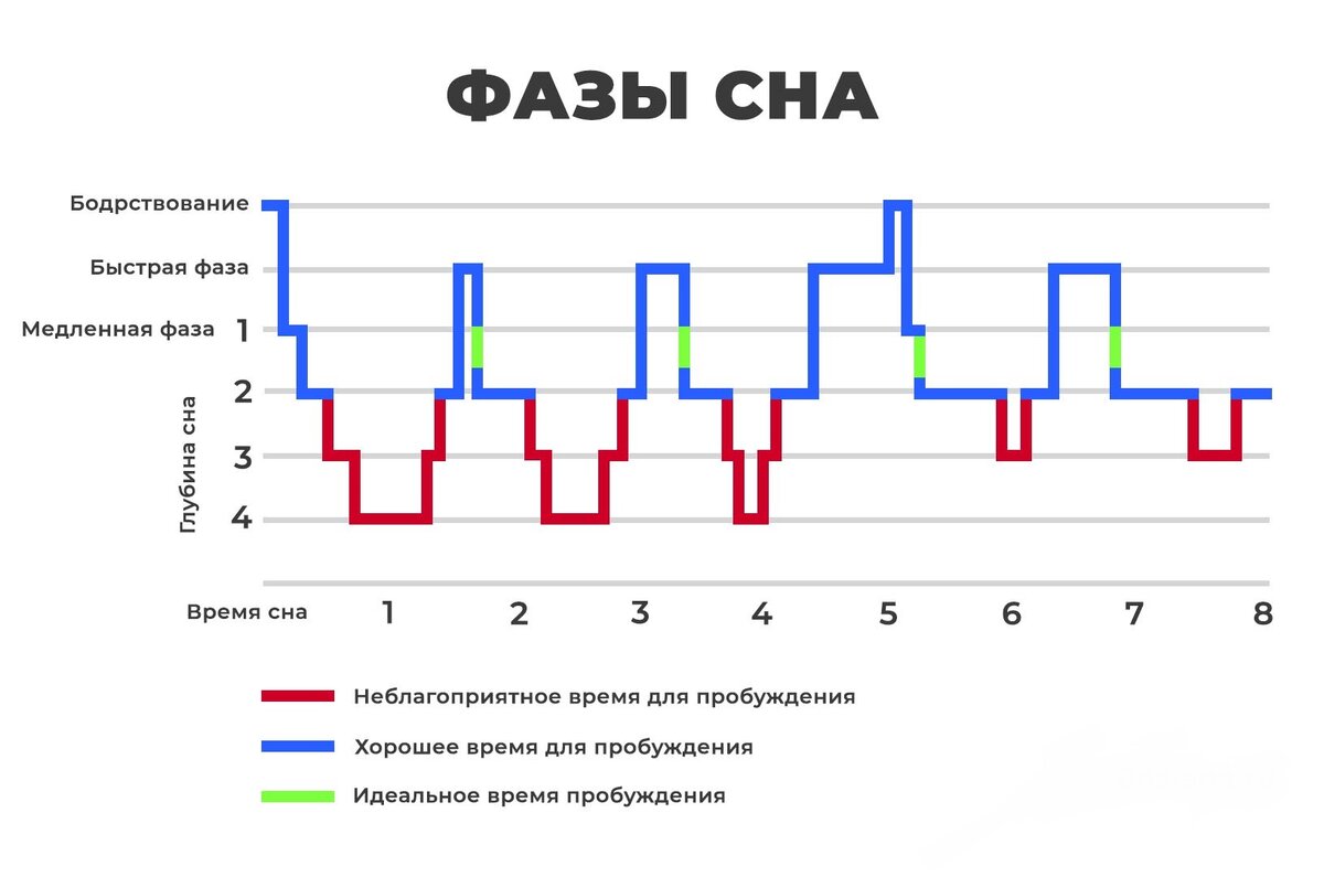 Вставать по будильнику вредно. Как лучше просыпаться? | НеСтАндаРт | Дзен