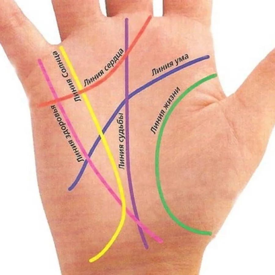 Линий ли. Хиромантия линия смерти. Линии на руке. Линия судьбы на ладони.