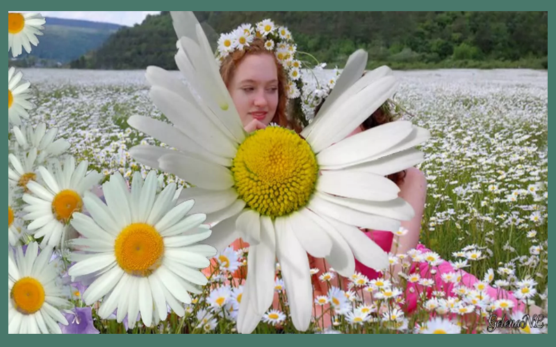 Вариантов много, а реализуется один