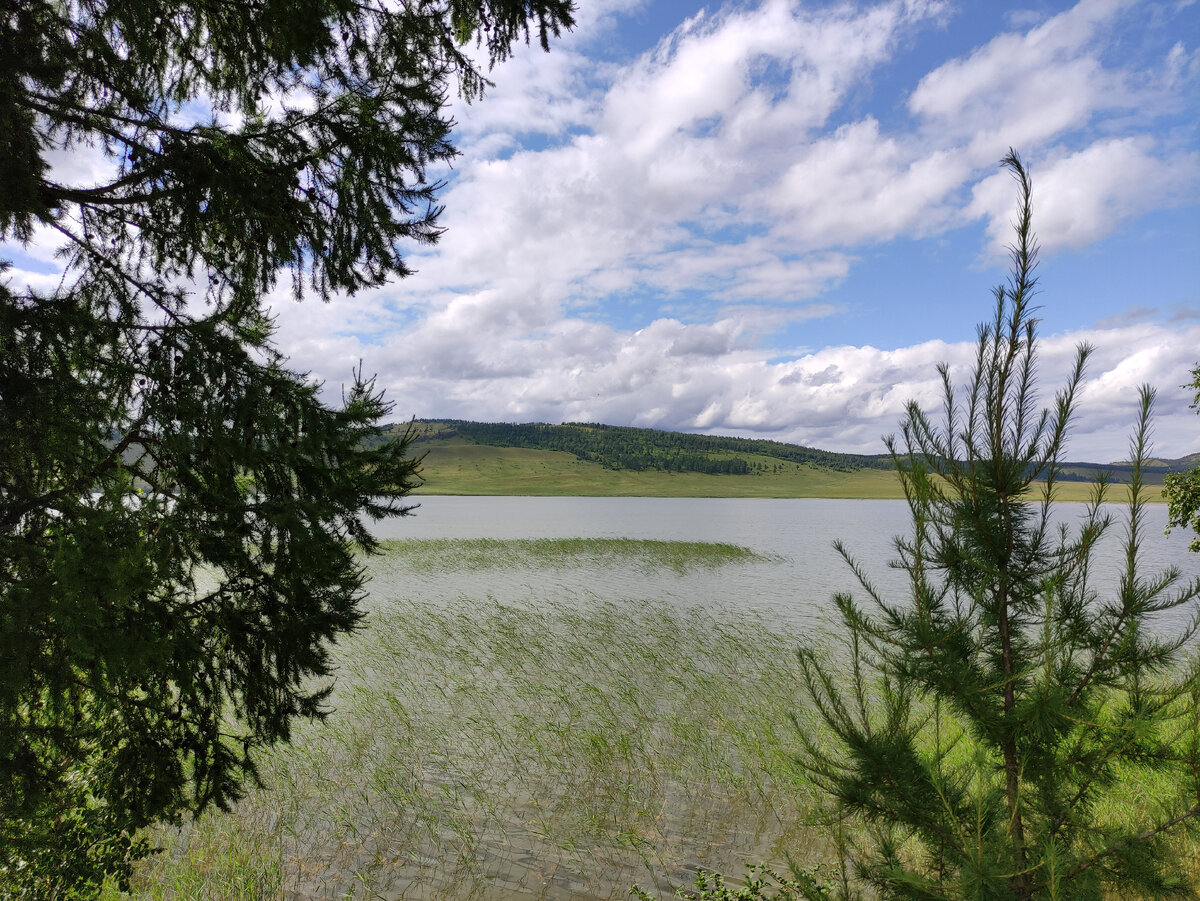 Красноярский край 2021