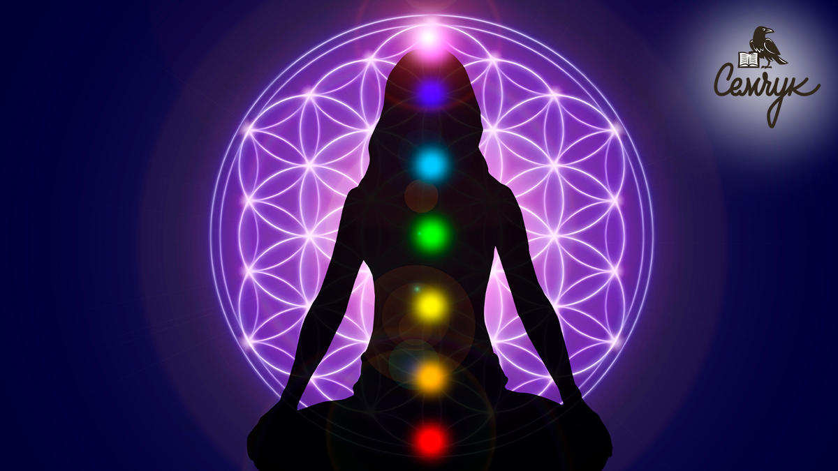 строение человека состоящее из семи энергетических тел