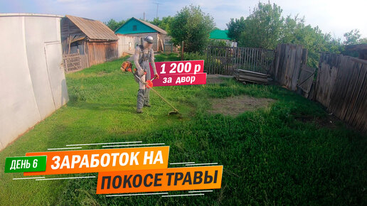 День 6 | 1 200 рублей за двор. Заработок на покосе травы триммером.