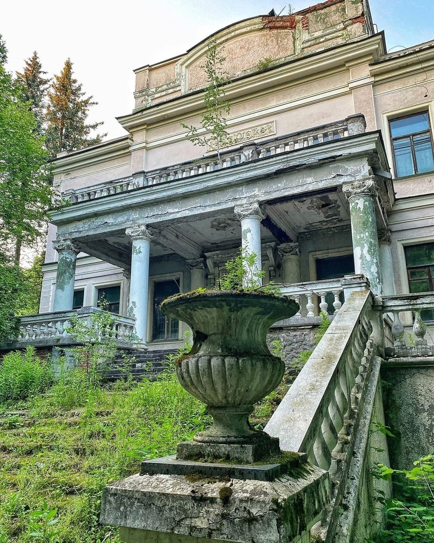 фото из интернет-источника