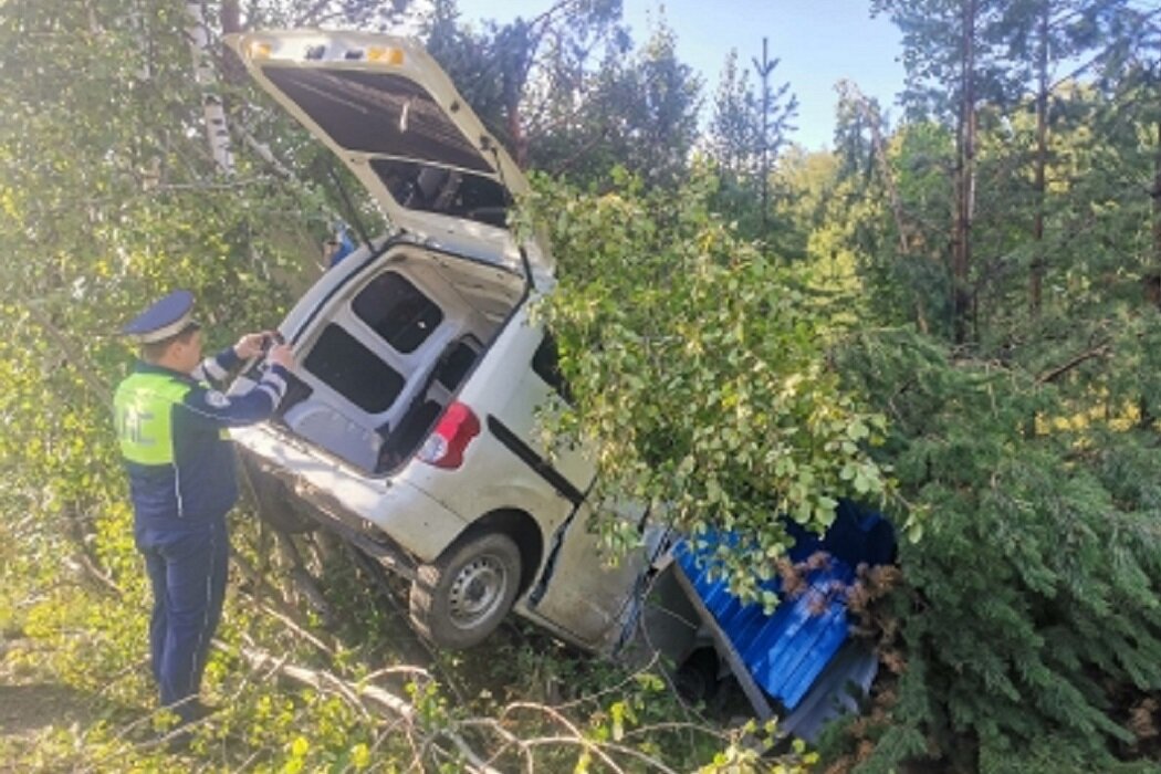 Фото: УГИБДД по Свердловской области Вера Яковлева  📷
