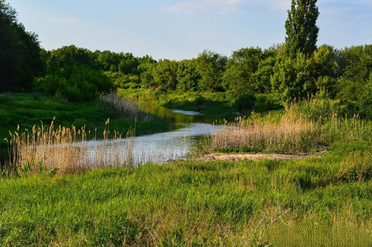 река в луганске