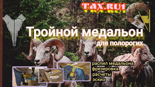 Медальон под рога, трофеи 