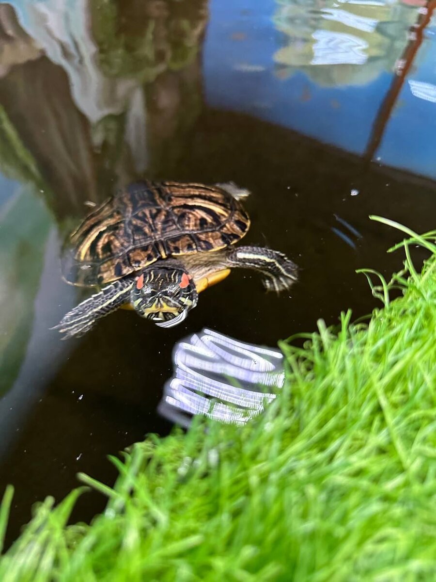 Фото: Александра Егорова, «Краснодарские известия»