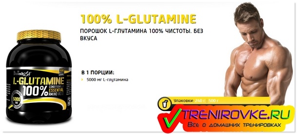 l глютамин для новичков