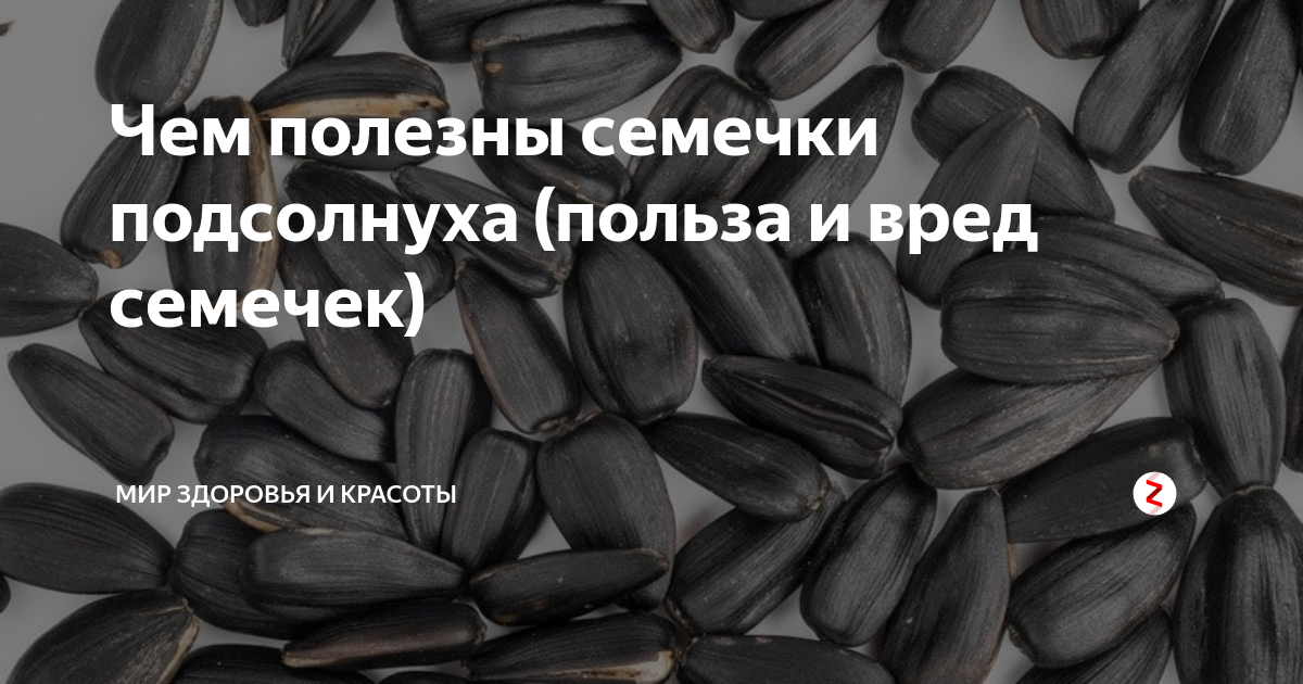 Польза вред подсолнечника. Полезные семечки. Полезны ли семечки. Чем полезны семечки подсолнуха. Семечки подсолнуха польза.