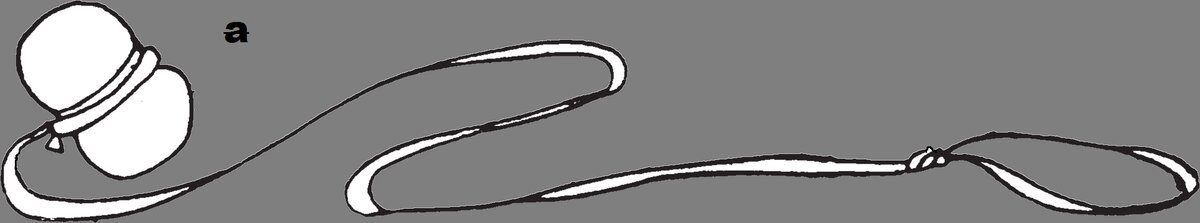                                                           Рис. 1 а (Болас простой)                                                                                                                                                                           