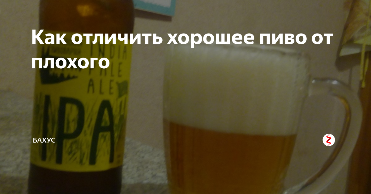 Может ли испортиться пиво. Порошковое пиво. Пиво плохо. Испорченное пиво. Формула порошкового пива.