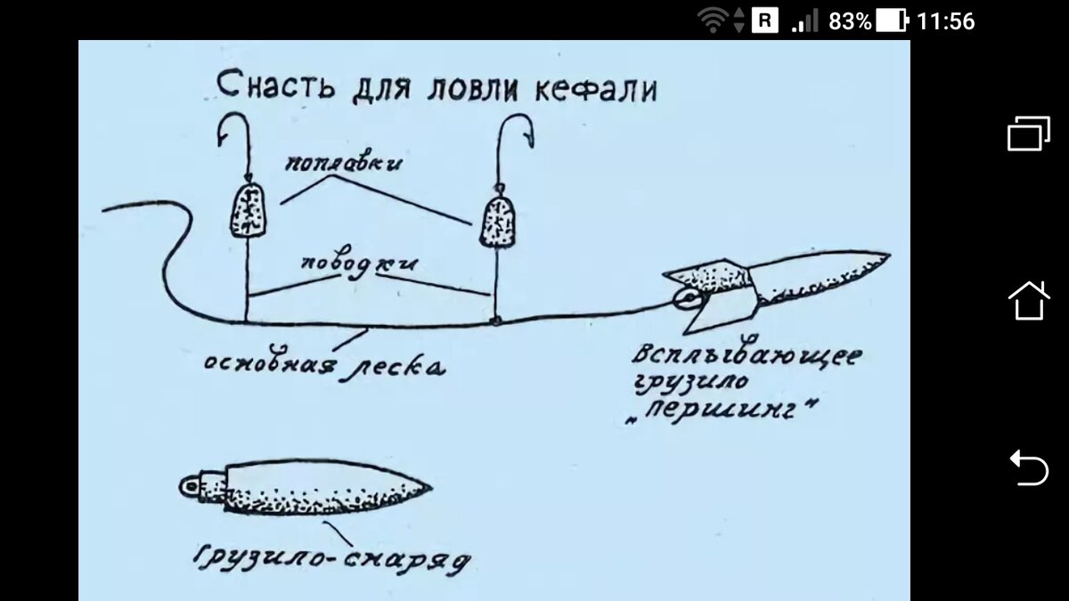 Ловля кефали