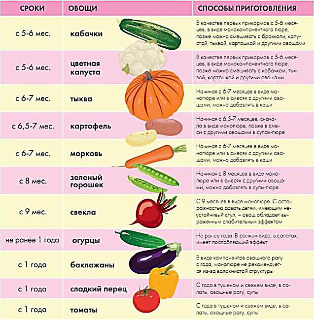 (PDF) Книга о вкусной и здоровой пище | Олег Зуев - осьминожки-нн.рф