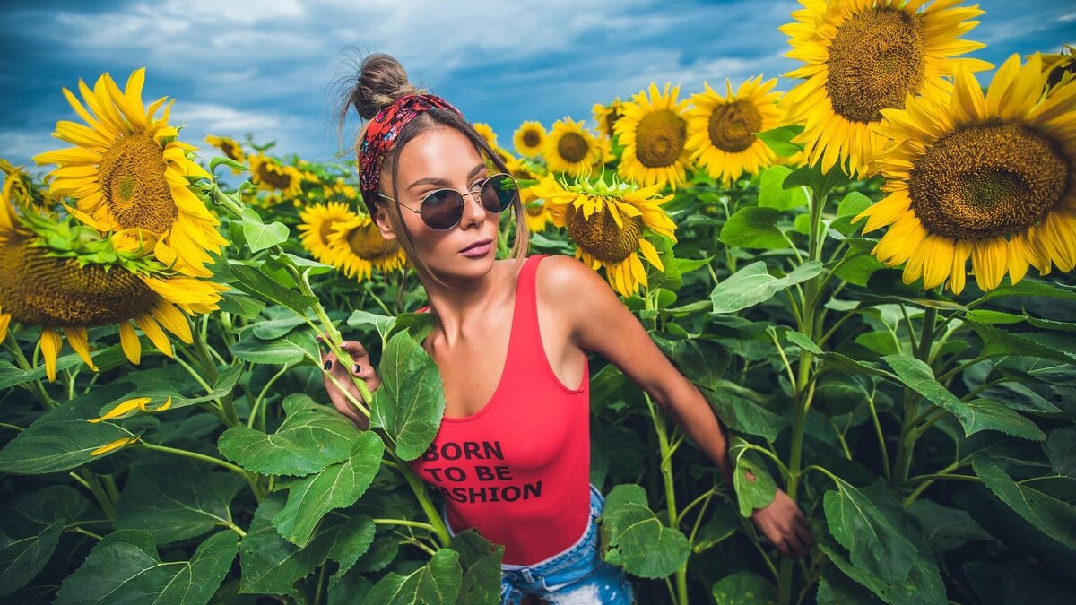 Фотографию взял с открытого информационного источника nastol.com.ua 