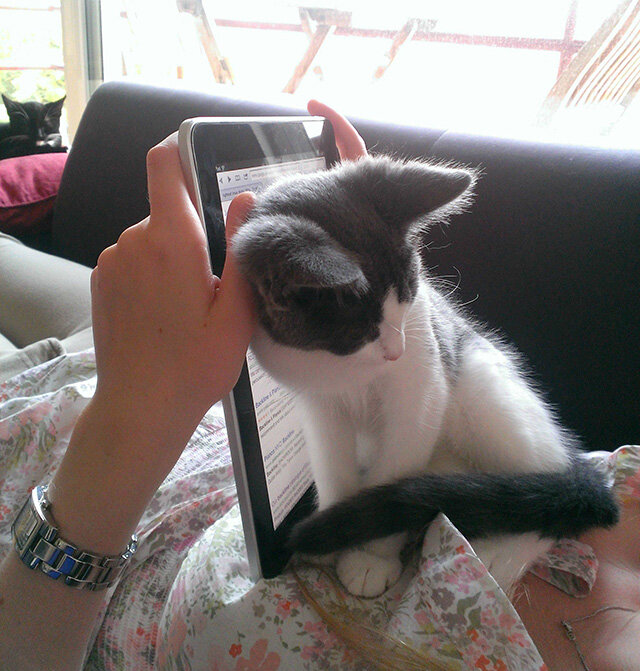 А мне уделить минутку внимания?
