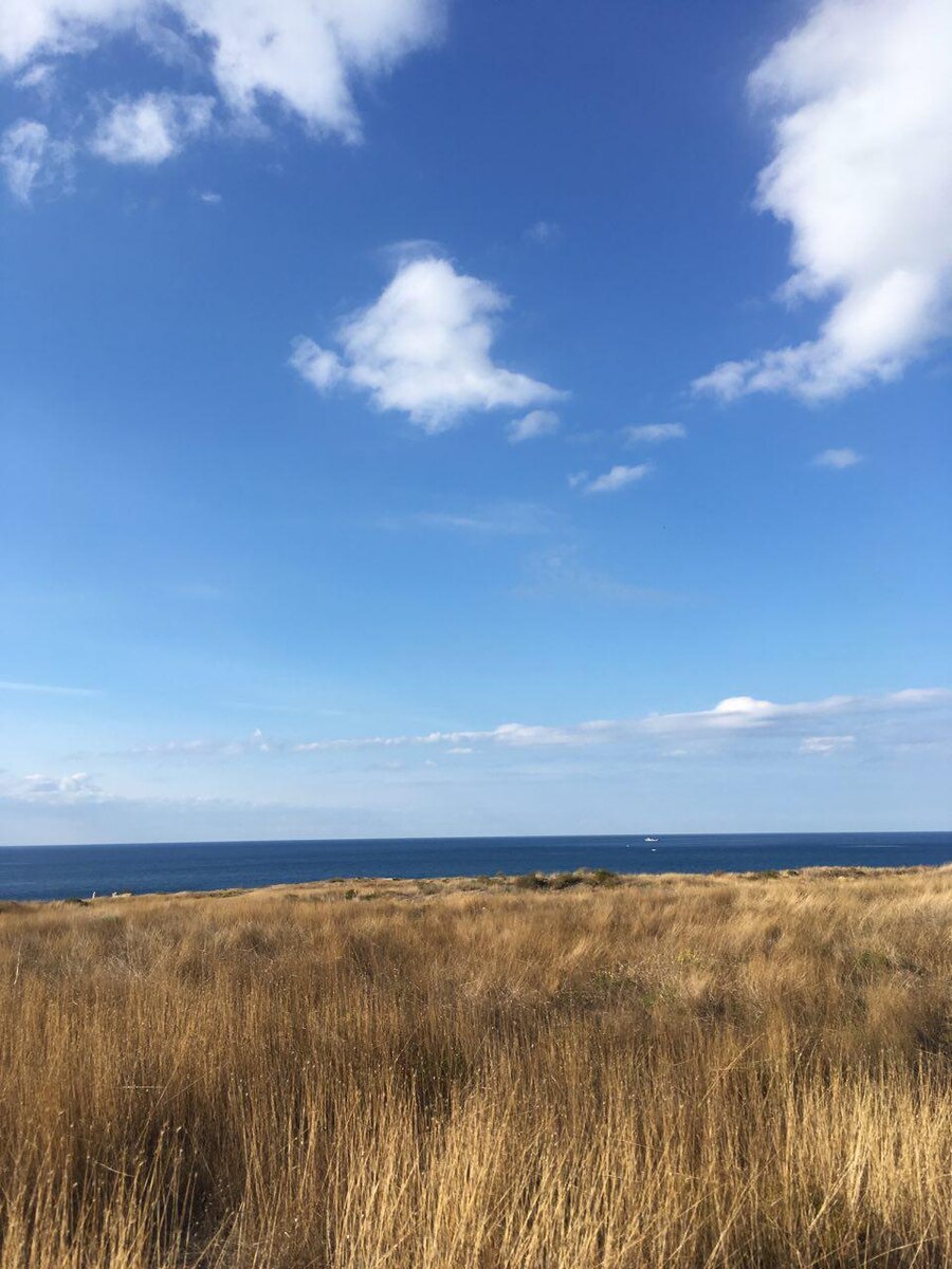 Море, Херсонес