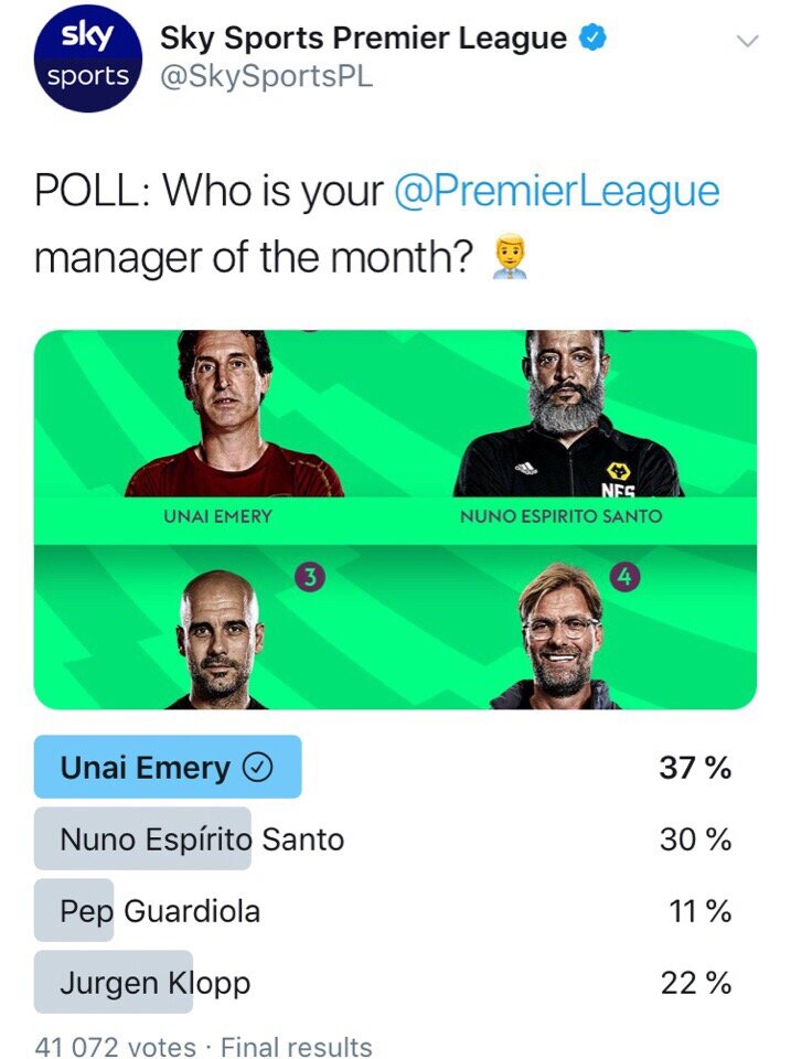 Менеджер месяца по мнению зрителей Sky Sport