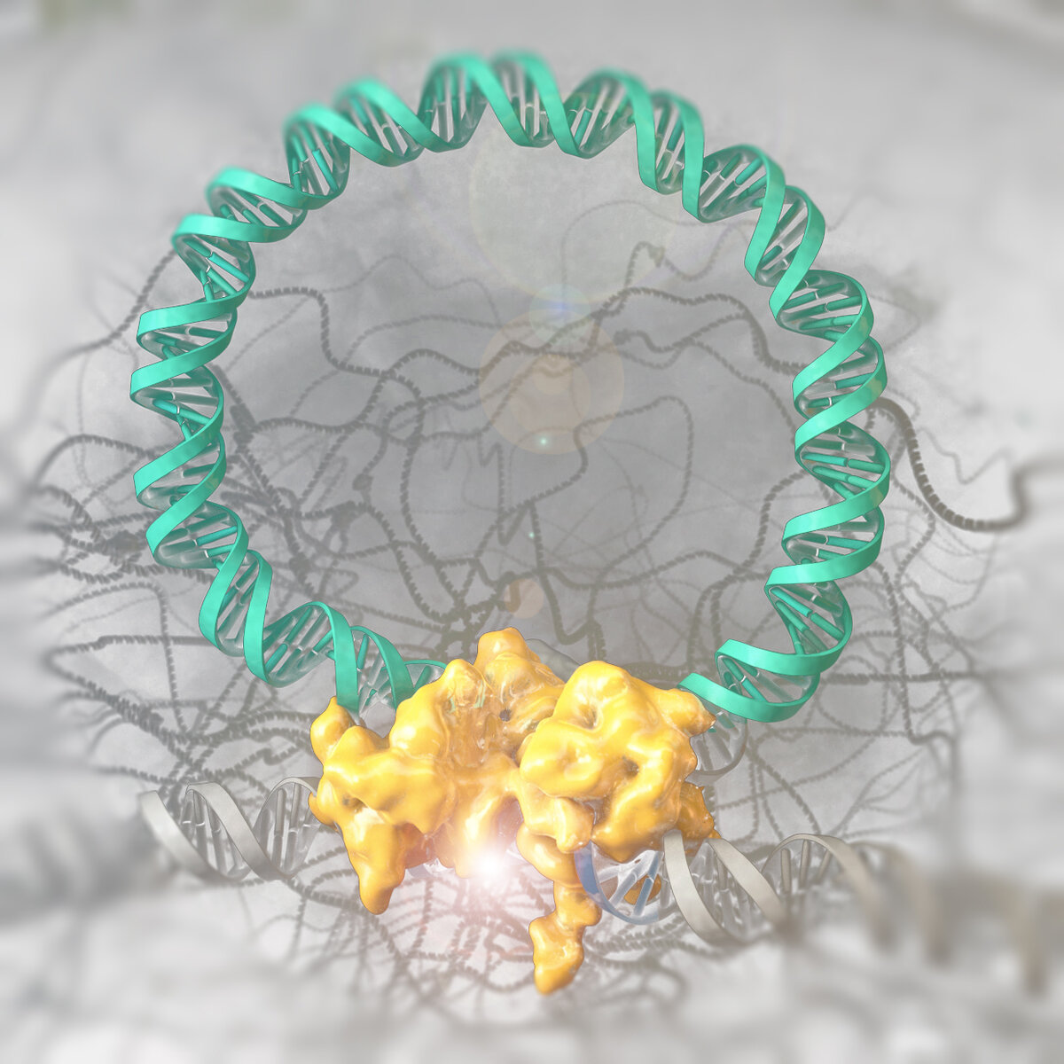 Иллюстрация изображает Brec1 (жёлтое образование), разрезающий геном ВИЧ (показан бирюзовым).