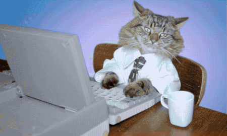  Business cat 
 