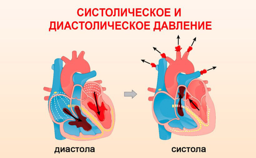 Разница между систолическим и диастолическим артериальным давлением. Давление в сердце в систолу и диастолу. Систолическое и диастолическое давление. Ад систолическое и диастолическое. Систолическое явление