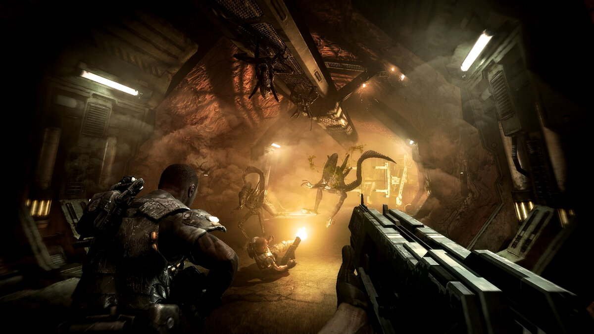 После предыдущей очень неплохой игры в стилистике Чужого - Alien: Isolation уже миновало достаточное количество времени и многие ждут развития истории, но к сожалению из - за небольших продаж компания пока не находит возможность выпустить продолжение, но совсем недавно появилась информация о разработке новой игры по мотивам фильма - игра получила название Alien: Blackout. 