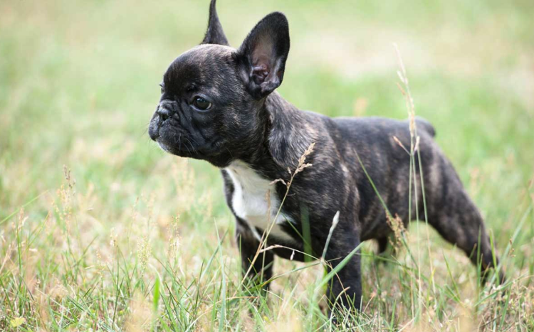 Лайк и подписка малышу! 😌