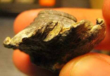 фото www.quora.com