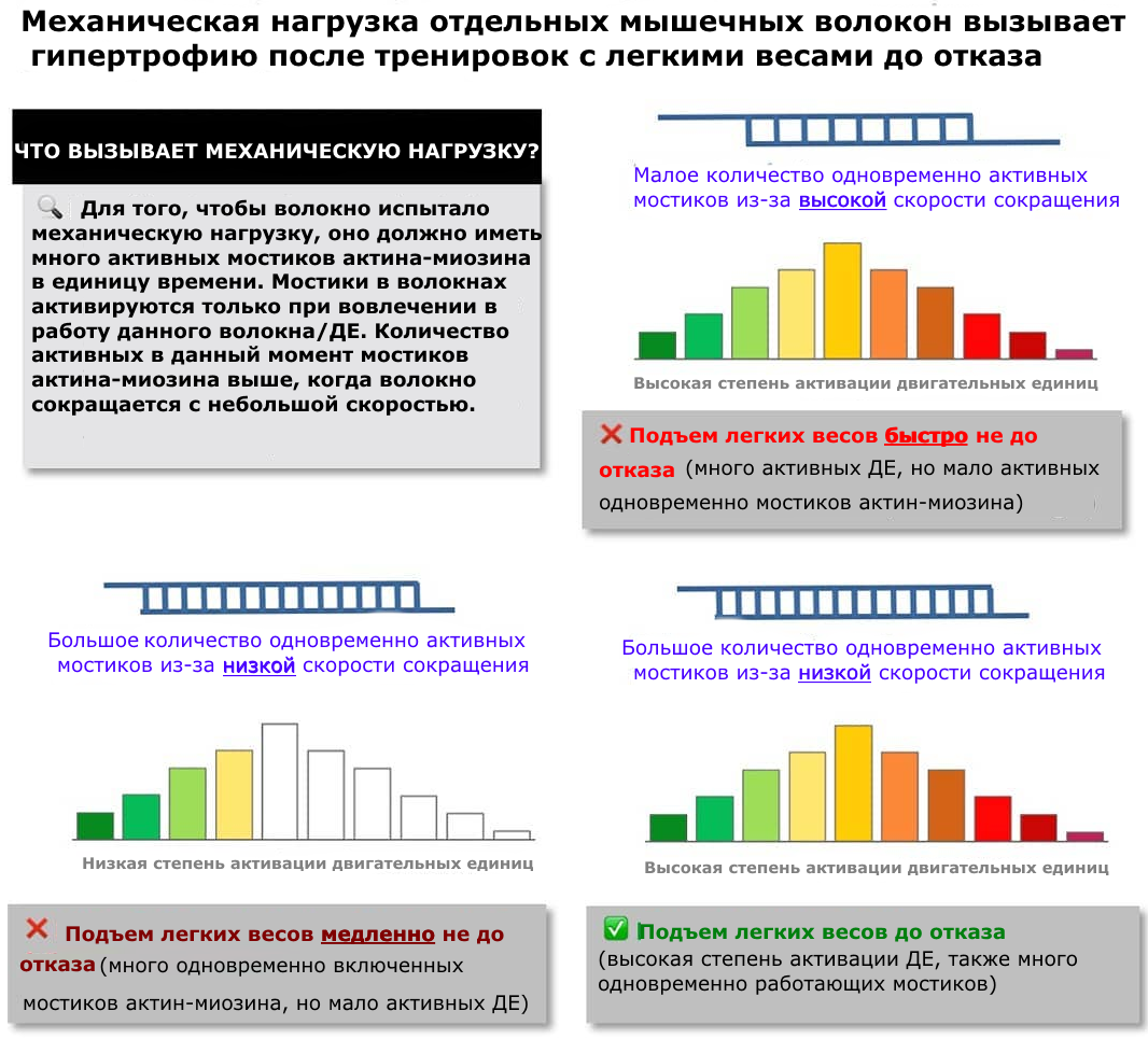  Скорость выполнения упражнений, а точнее, время, затраченное на каждую фазу упражнения, называется темпом. Темп можно представить в виде четырех чисел: 1. Время опускания 2.-2