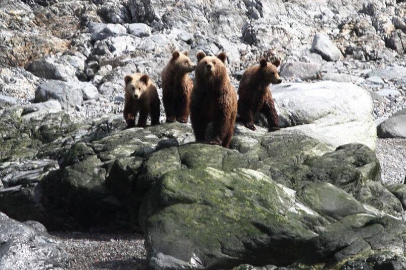 Владимир Похилюк