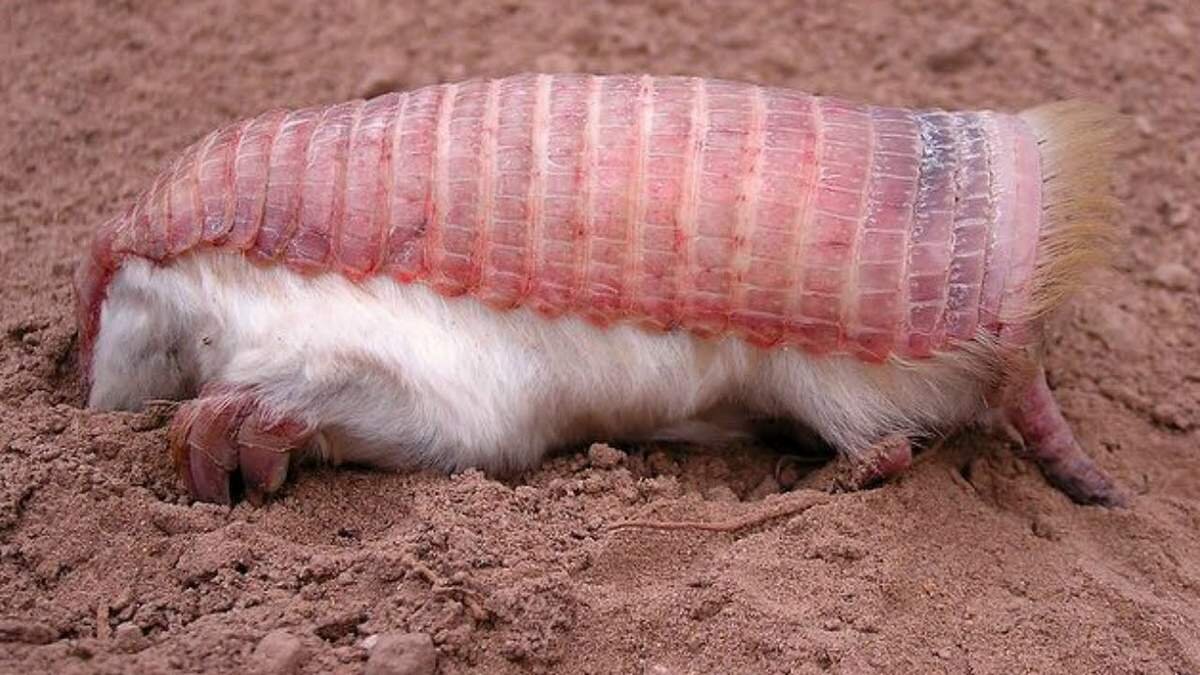 Типичное утро после пьянки