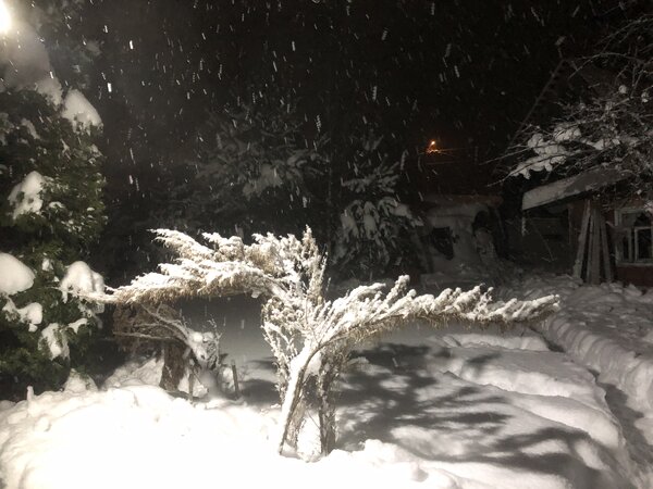 Фантастическая зима!