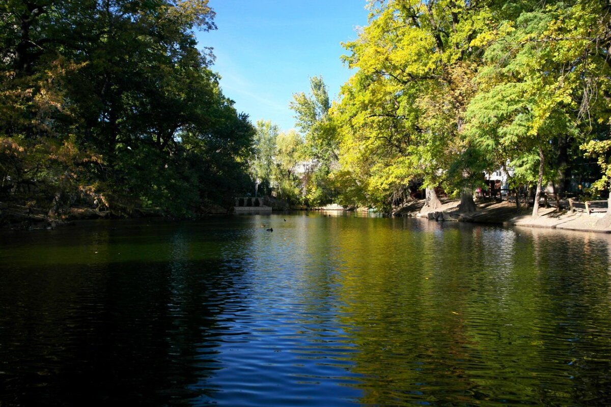 Саратов парк лукоморье фото