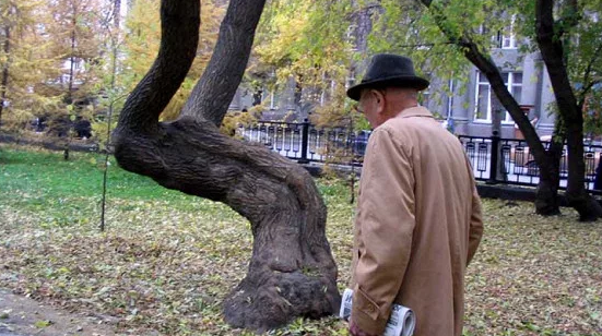 фото из интернета