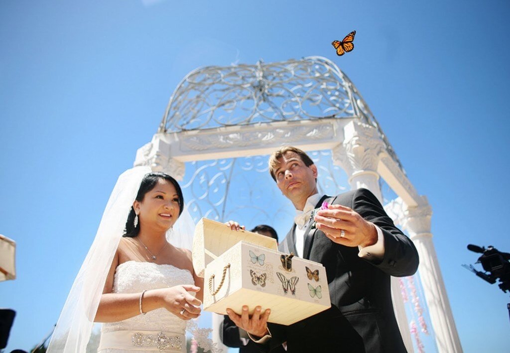                                                      Фотография с сайта wedding.ua